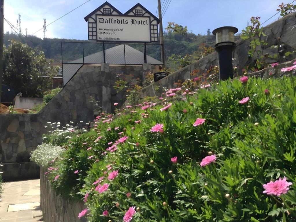 Daffodil'S Hotel Νουβάρα Ελίγια Εξωτερικό φωτογραφία