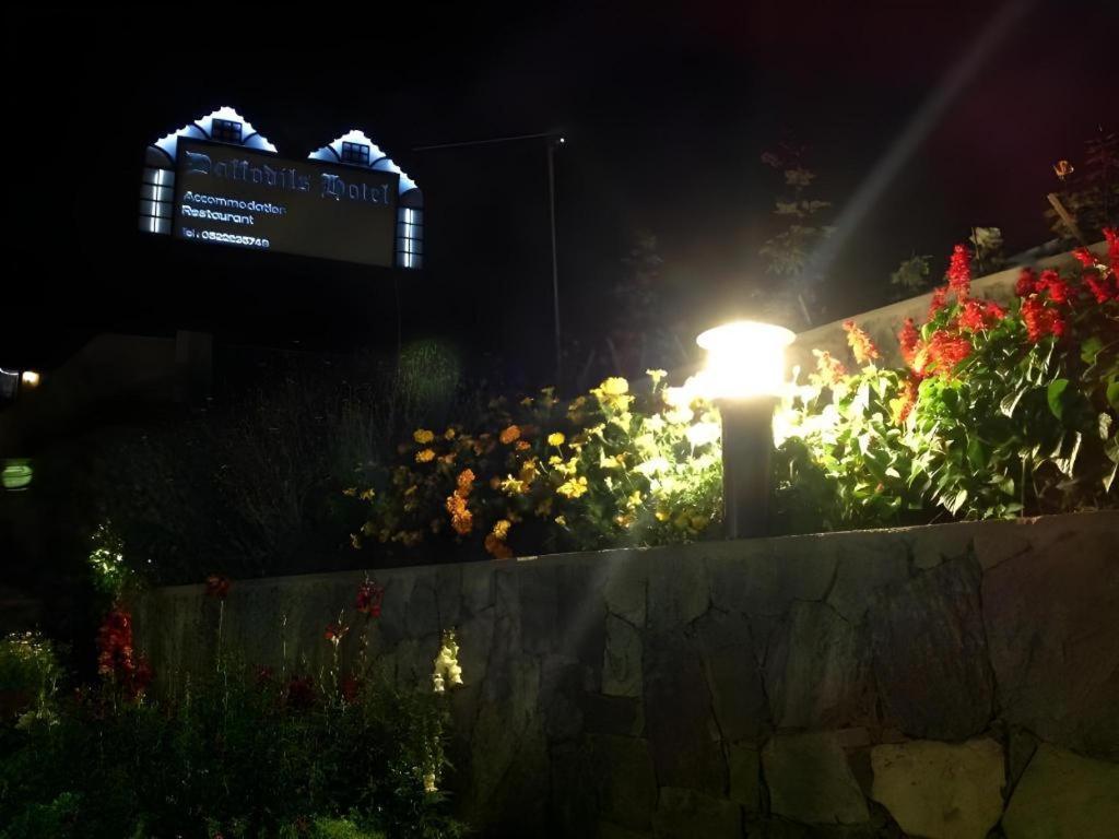 Daffodil'S Hotel Νουβάρα Ελίγια Εξωτερικό φωτογραφία